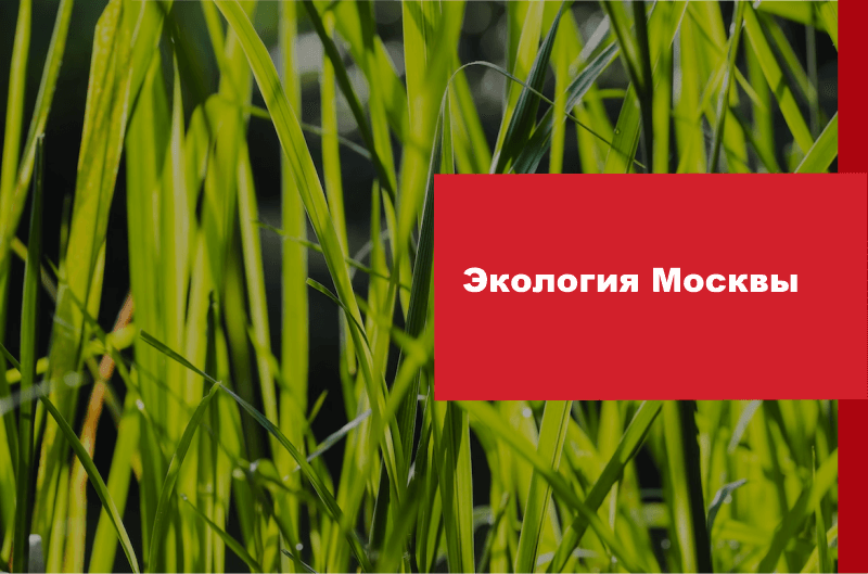 Экология Москвы в 2023 году