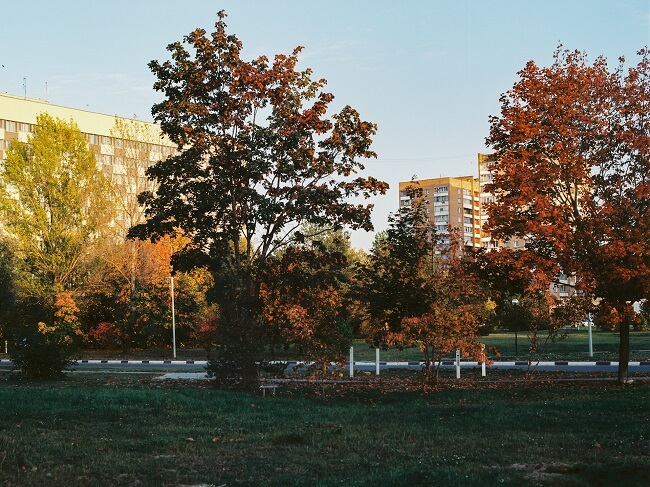 Экология Москвы по регионам | Экология Москвы