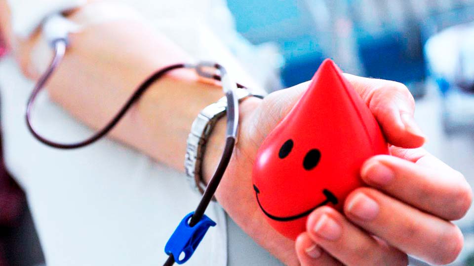 Почетный донор: сколько раз надо сдать кровь для получения статуса